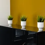 Apartment Krolewska 43 By Homeprime